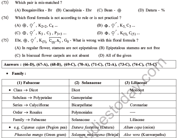 NEET Biology Morphology Of Plants MCQs Set C, Multiple Choice Questions